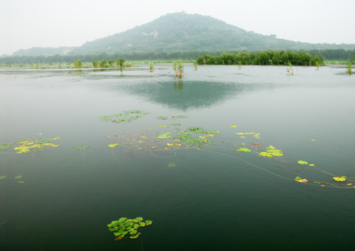 三山湿地