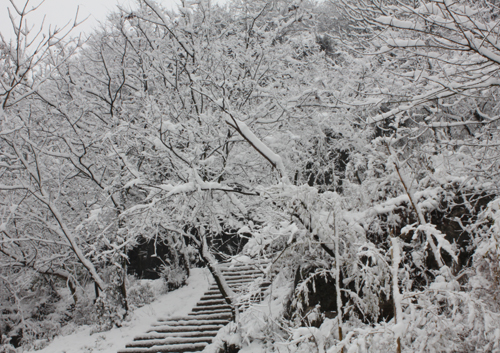 三山岛雪景